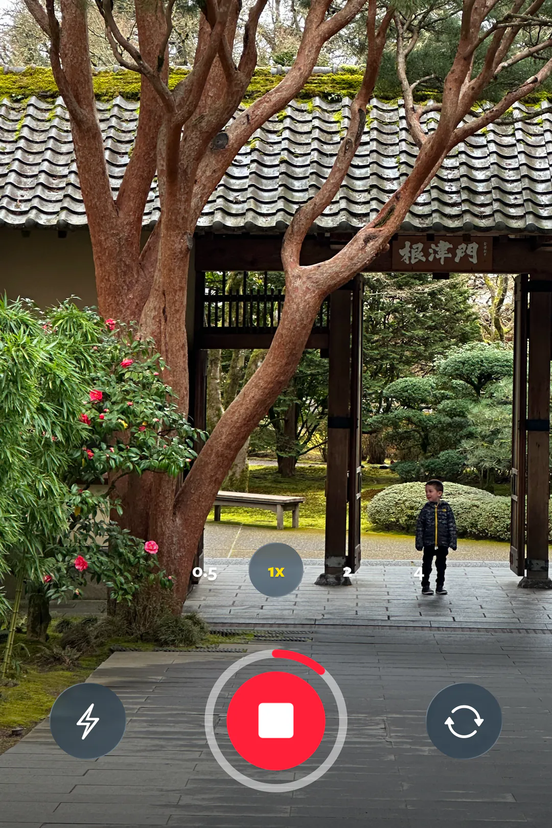 The in-app camera recording a video of a garden gateway, the red stop button active.